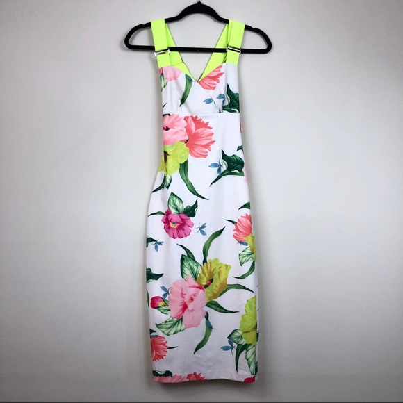 ted baker taylar dress